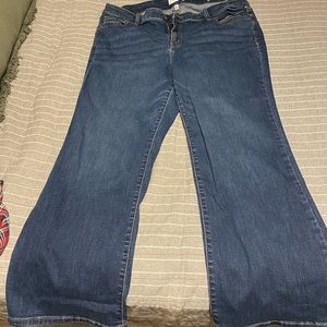 Lane Bryant Bootcut jeans